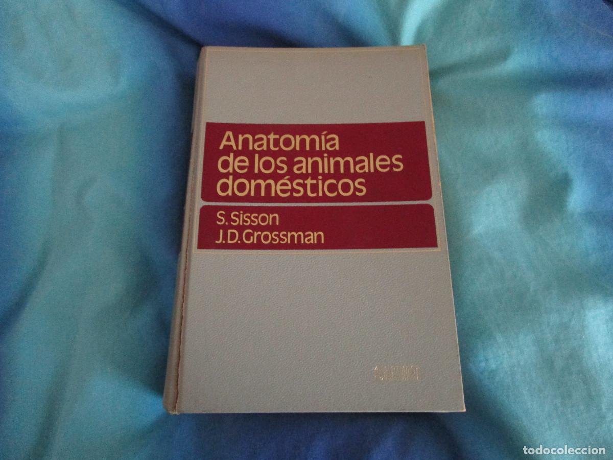 Libri di seconda mano: LIbro de veterinaria Anatom&iacute;a de los animales dom&eacute;sticos Sisson y Grossman