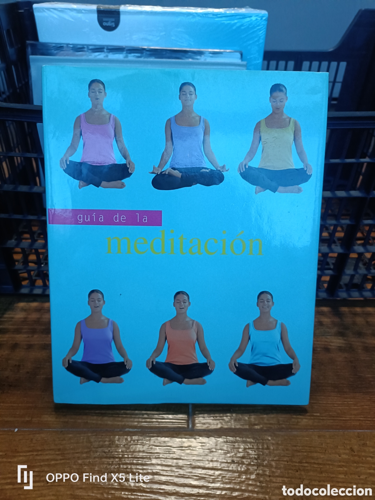Libri di seconda mano: Libro Gu&iacute;a de la Meditaci&oacute;n -Lorraine Turner-