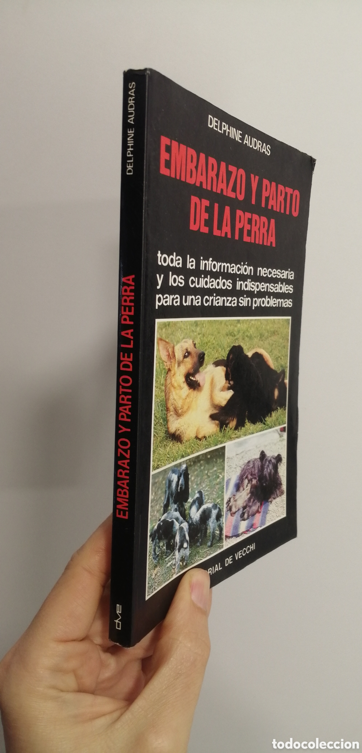 Libros de segunda mano: Embarazo y parto de la perra Manual Editorial de Vecchi - Foto 2