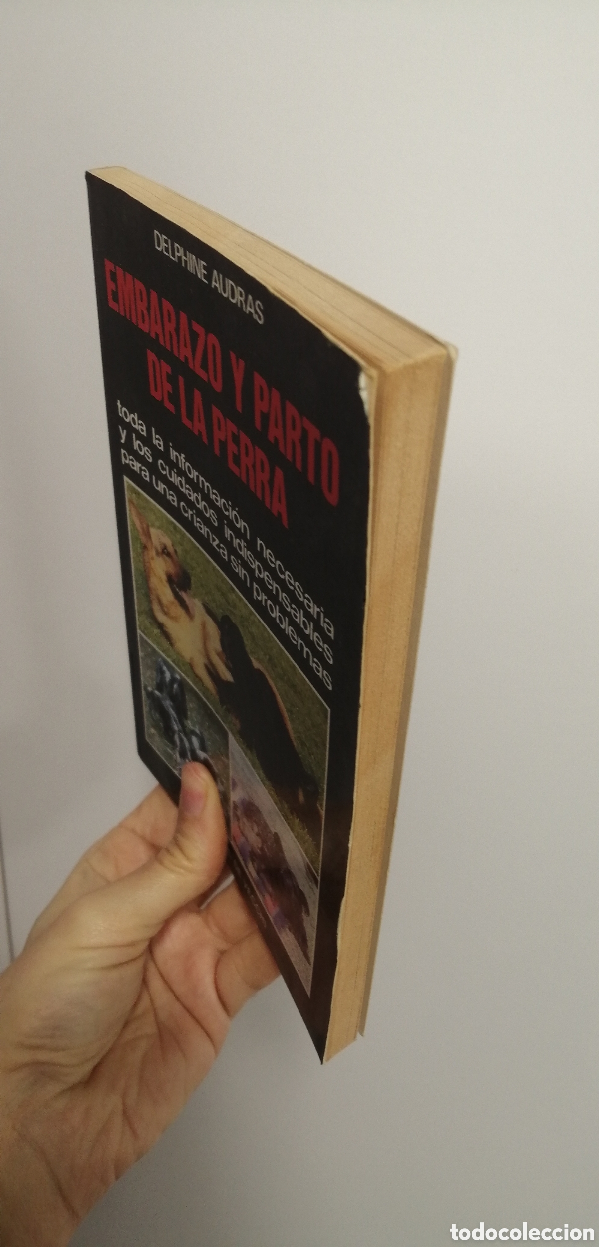 Libros de segunda mano: Embarazo y parto de la perra Manual Editorial de Vecchi - Foto 3