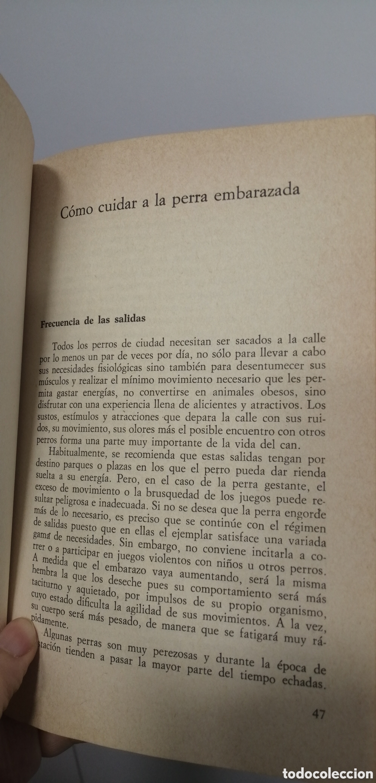 Libros de segunda mano: Embarazo y parto de la perra Manual Editorial de Vecchi - Foto 12