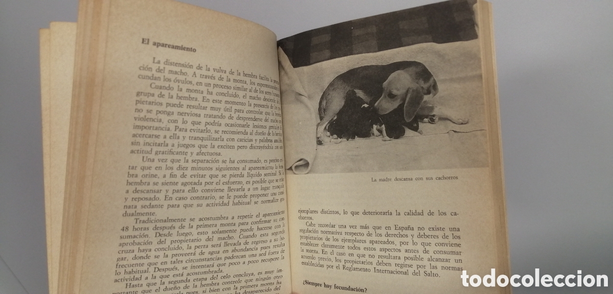 Libros de segunda mano: Embarazo y parto de la perra Manual Editorial de Vecchi - Foto 13