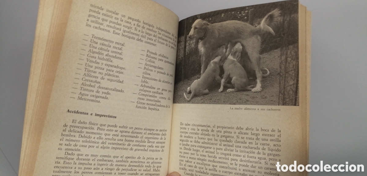 Libros de segunda mano: Embarazo y parto de la perra Manual Editorial de Vecchi - Foto 14