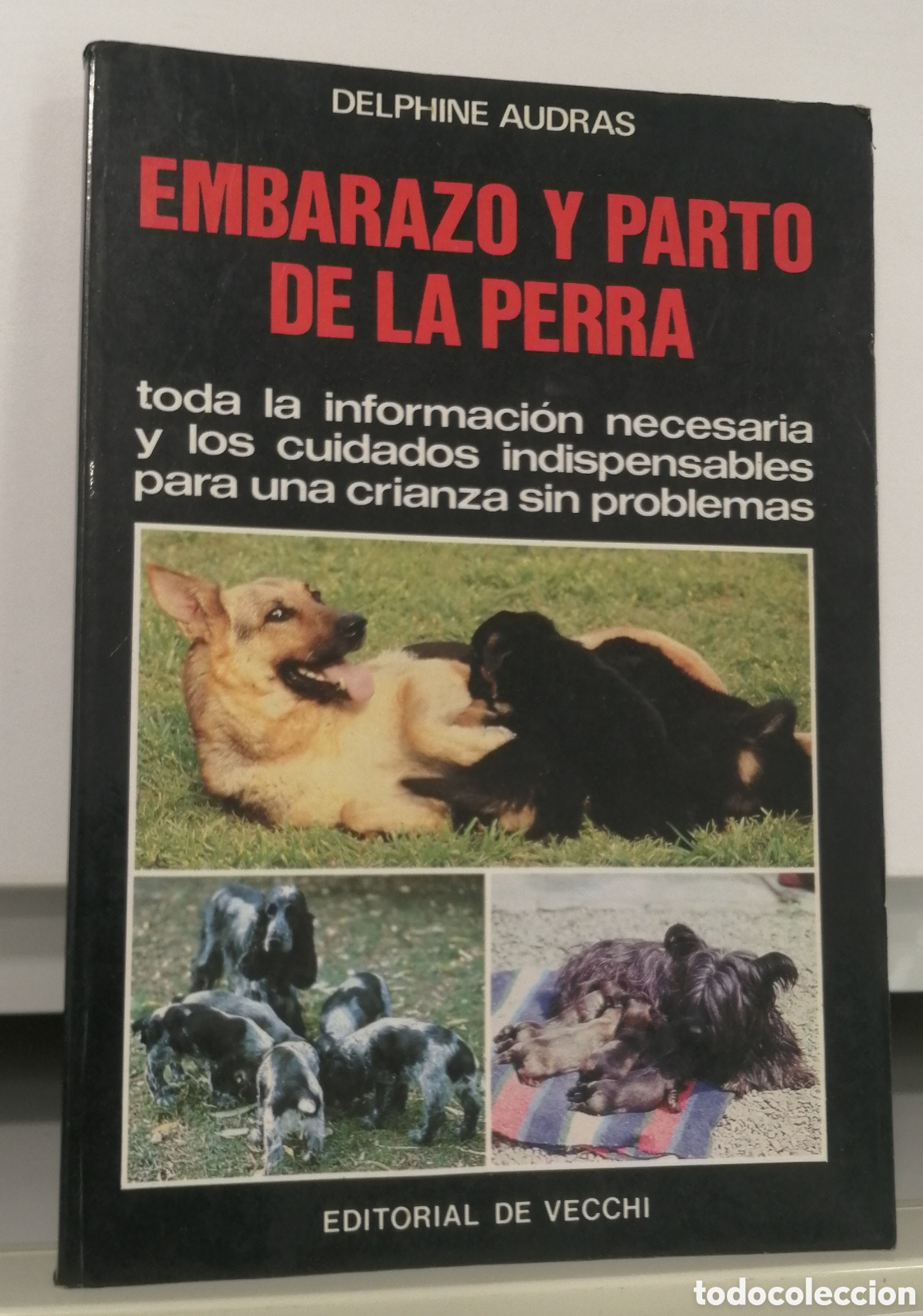 Libros de segunda mano: Embarazo y parto de la perra Manual Editorial de Vecchi - Foto 1
