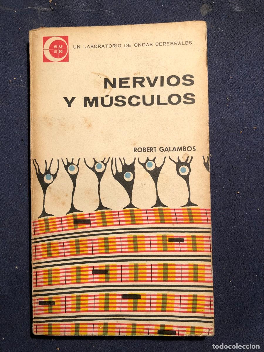 Libros de segunda mano: ROBERT GALAMBOS: - NERVIOS Y MUSCULOS - (EUDEBA, 1962) - Foto 1