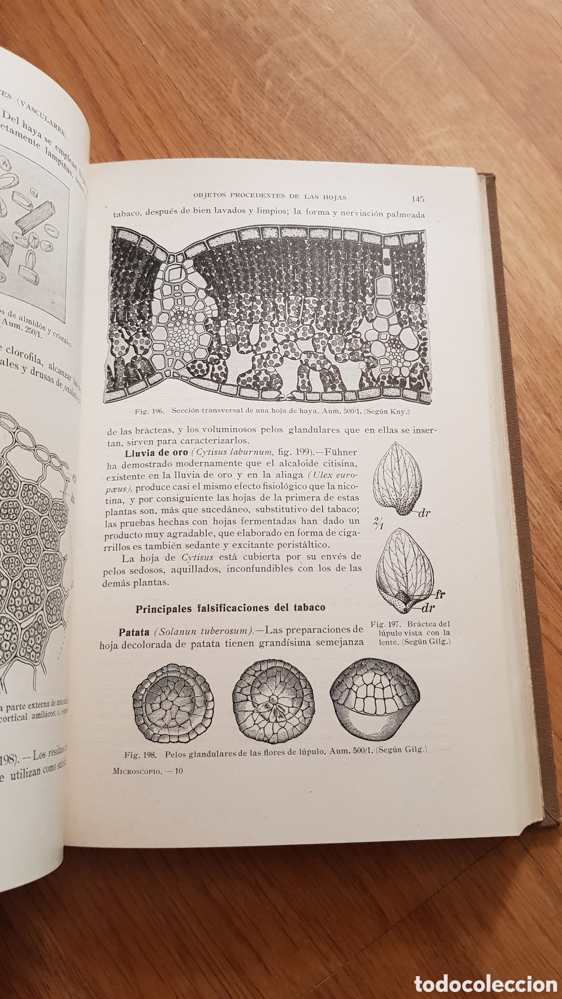 Libros de segunda mano: El microscopio y sus aplicaciones - Foto 5