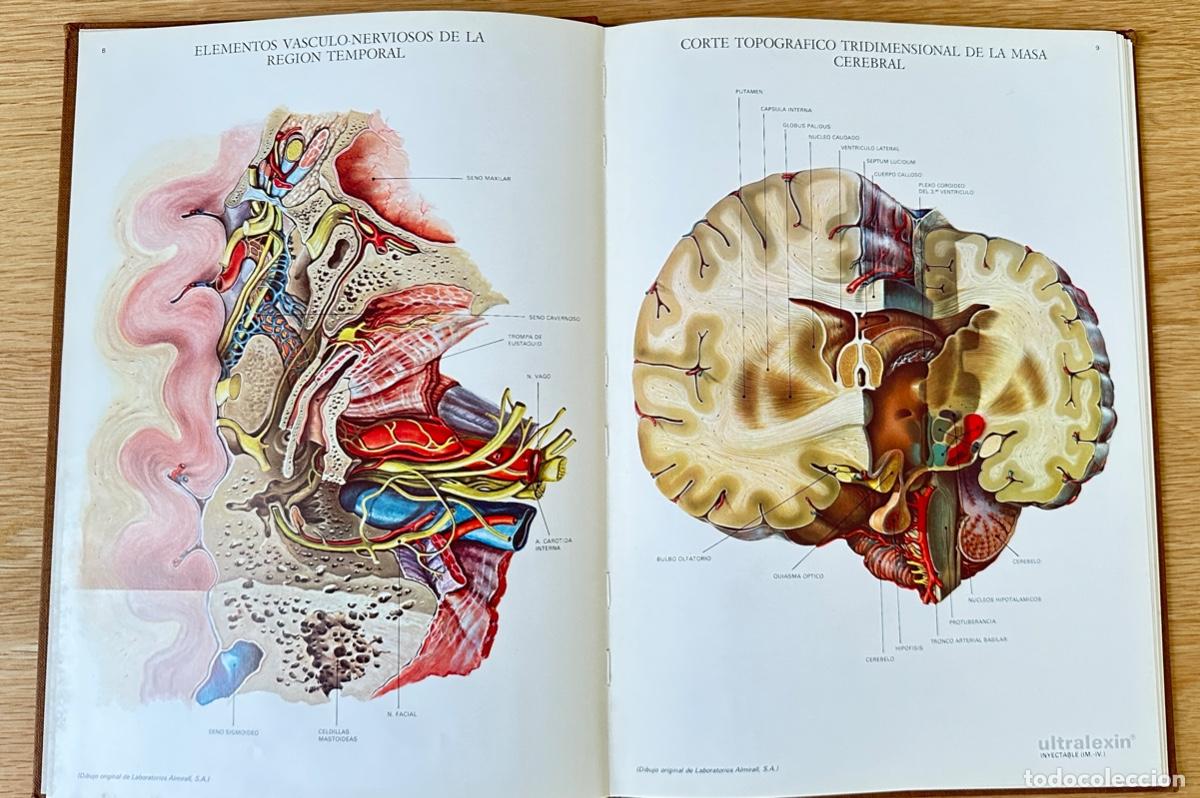 Libros de segunda mano: LAMINAS DE ANATOMIA, LABORATORIOS ALMIRALL, S.A. - Foto 3