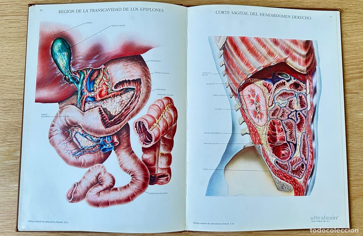 Libros de segunda mano: LAMINAS DE ANATOMIA, LABORATORIOS ALMIRALL, S.A. - Foto 5