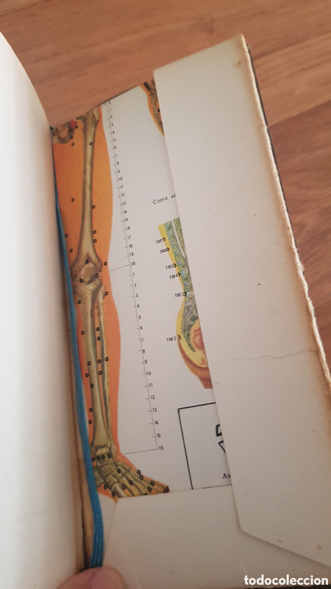Libros de segunda mano: Abc de la acupuntura. Cabal - Foto 7