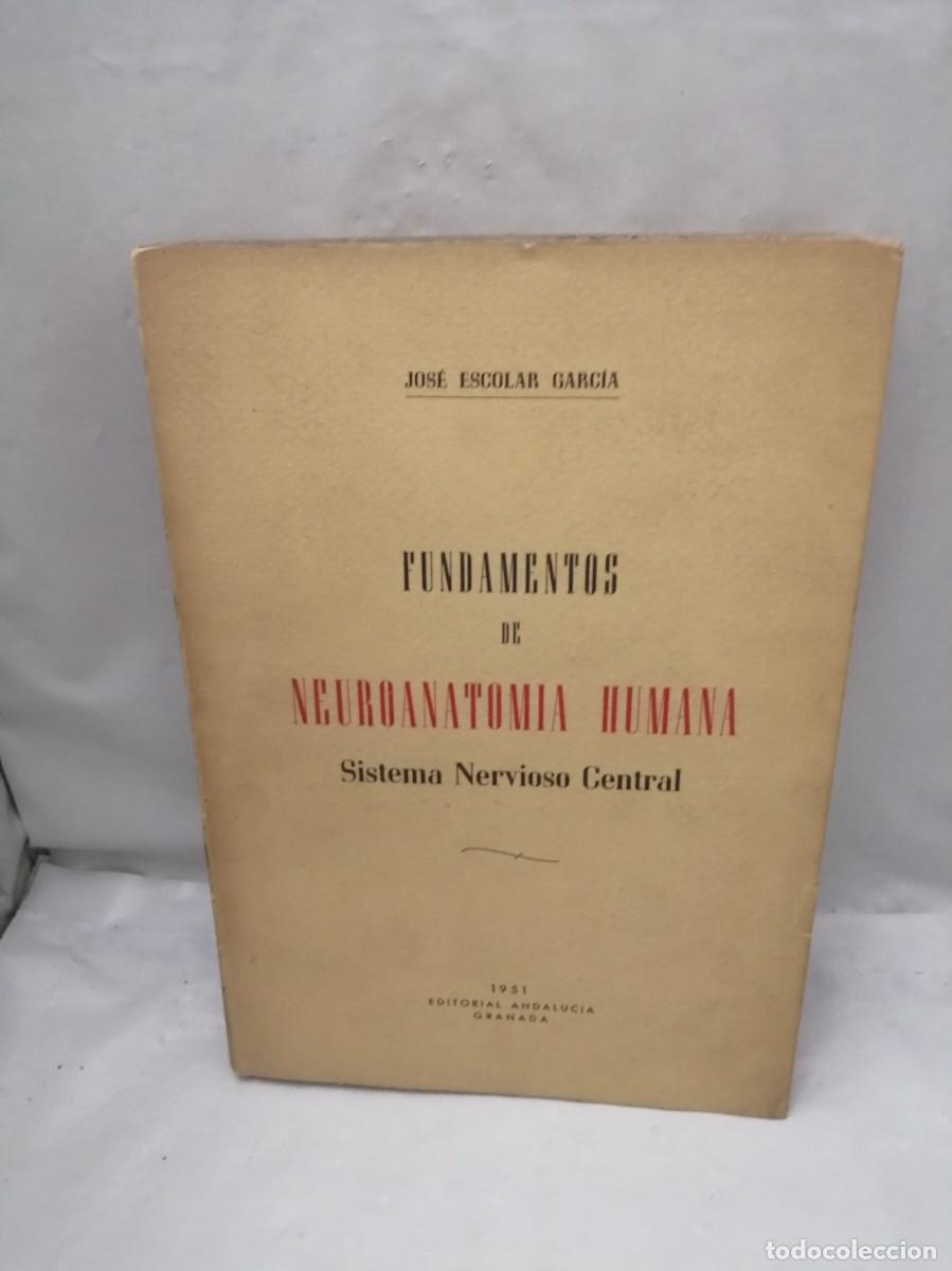 Second hand books: Fundamentos de neuroanatom&iacute;a humana: Sistema nervioso central (Granada 1951)
