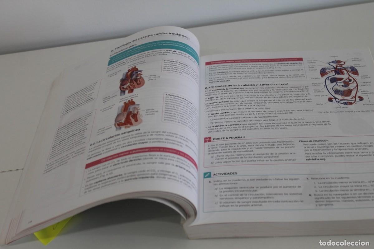 Libros de segunda mano: T&Eacute;CNICAS B&Aacute;SICAS DE ENFERMER&Iacute;A SANIDAD MC GRAW HILL - Foto 3