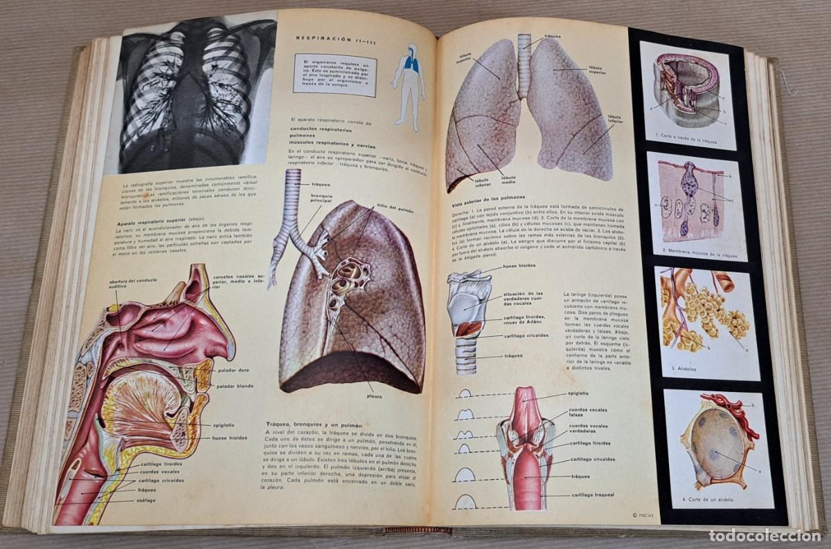 Libros de segunda mano: Focus el hombre, a&ntilde;o 1966 - Foto 10