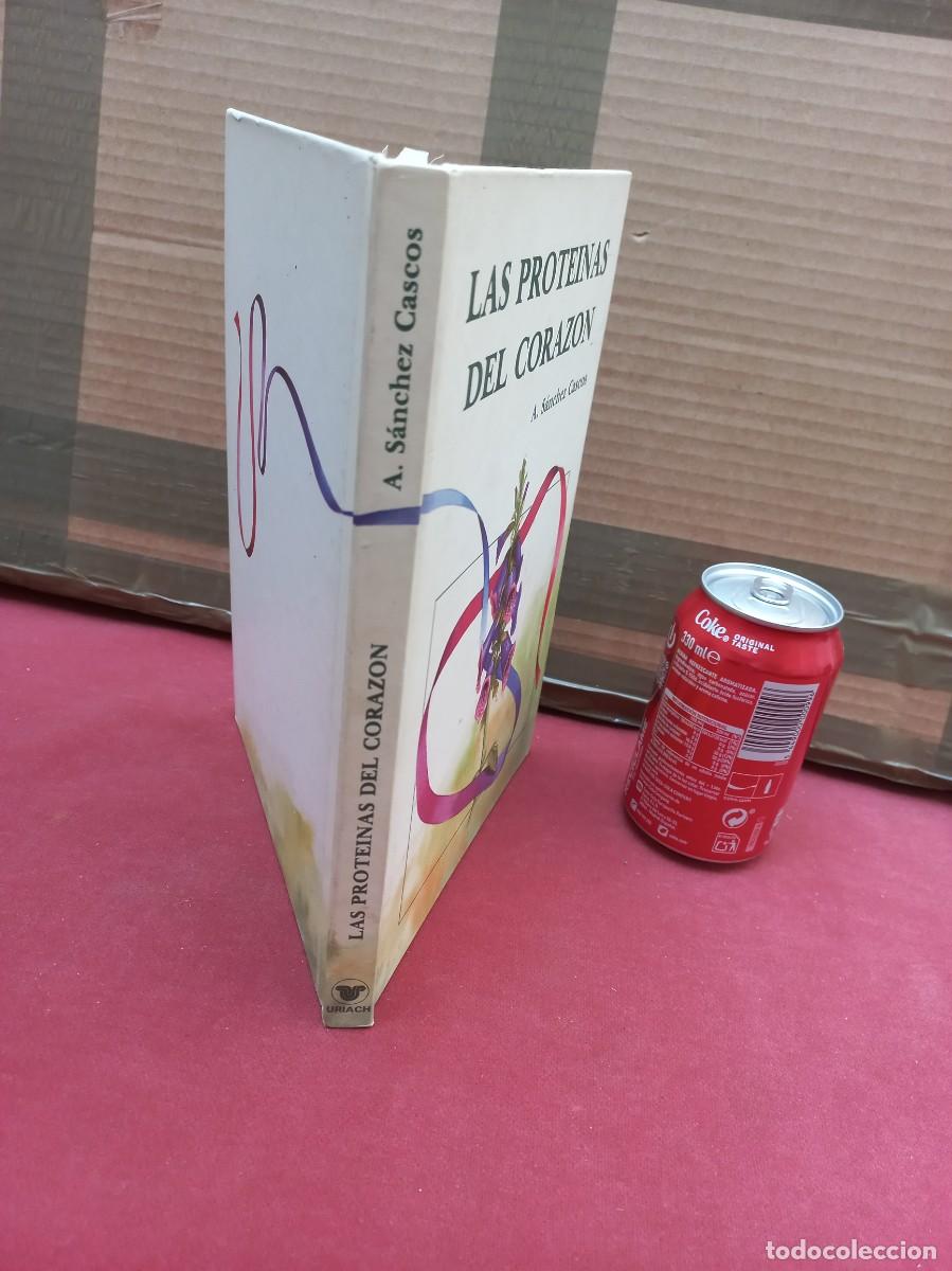 Libros de segunda mano: Las Proteinas del Corazon - A. Sanchez Cascos - Ed. Uriach - 1992 - Foto 2