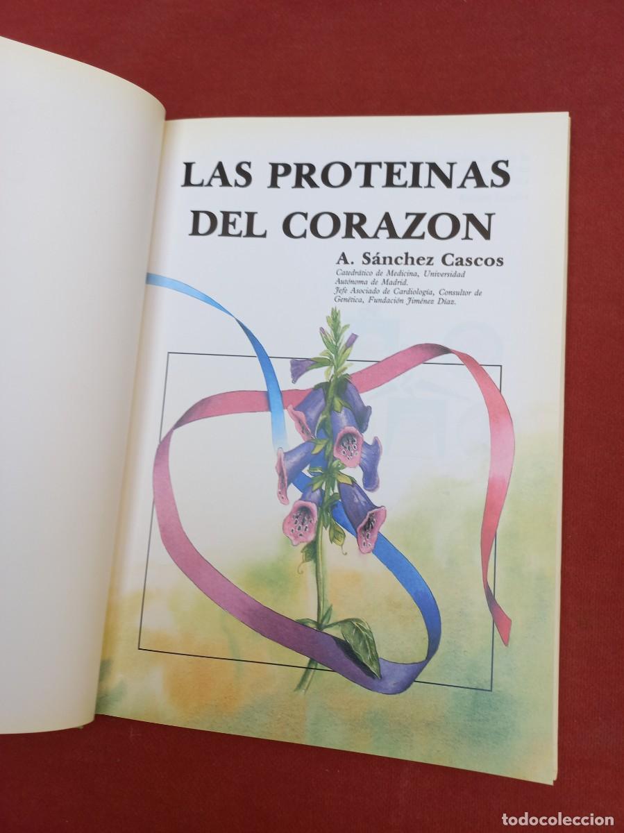 Libros de segunda mano: Las Proteinas del Corazon - A. Sanchez Cascos - Ed. Uriach - 1992 - Foto 4