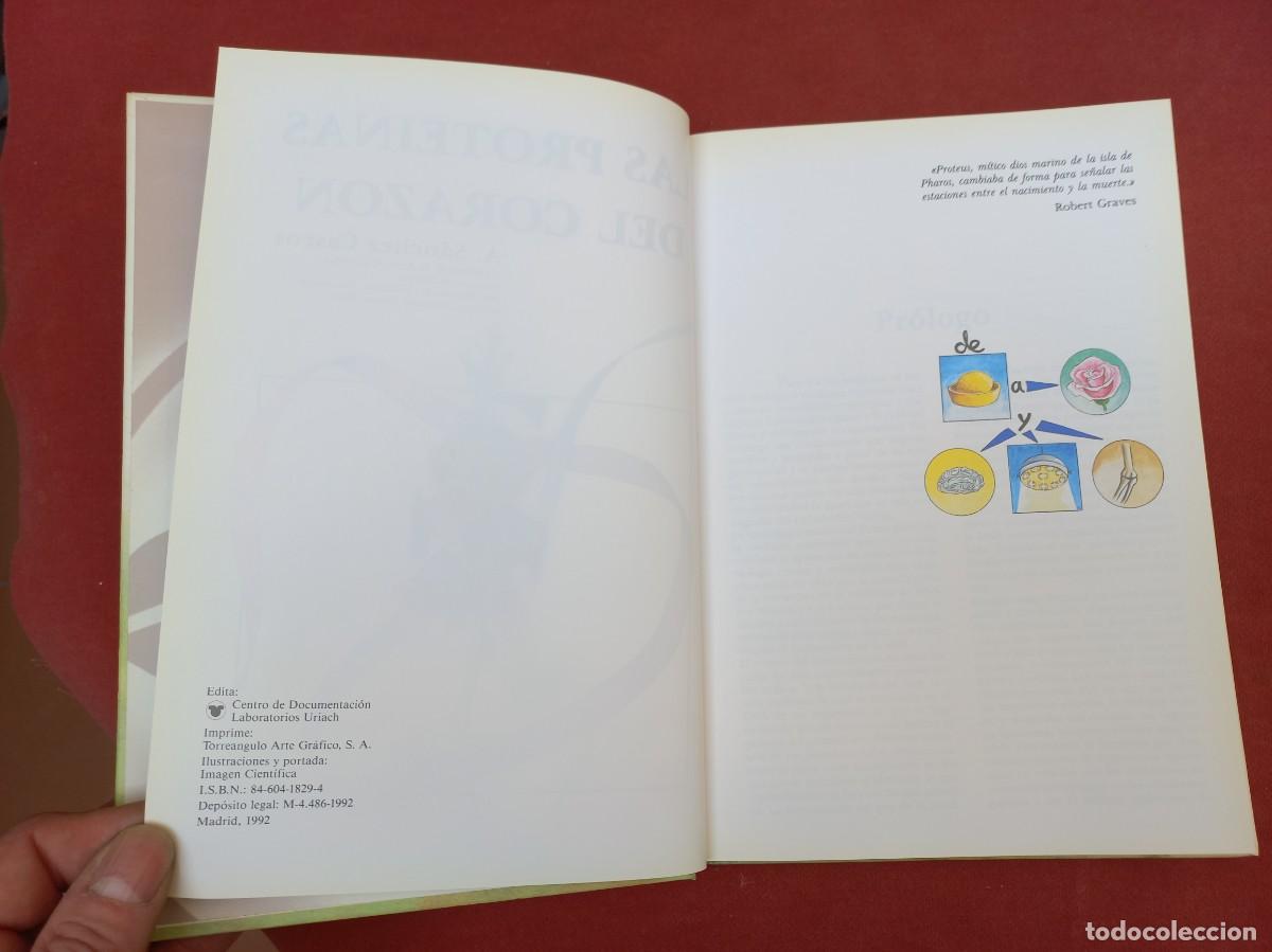 Libros de segunda mano: Las Proteinas del Corazon - A. Sanchez Cascos - Ed. Uriach - 1992 - Foto 5