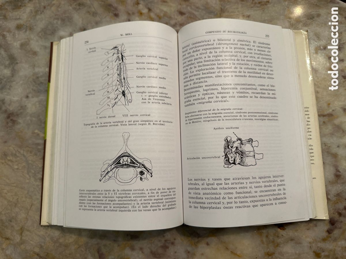 Libros de segunda mano: WERNER MOLL. COMPENDIO DE REUMATOLOG&Iacute;A. - Foto 7