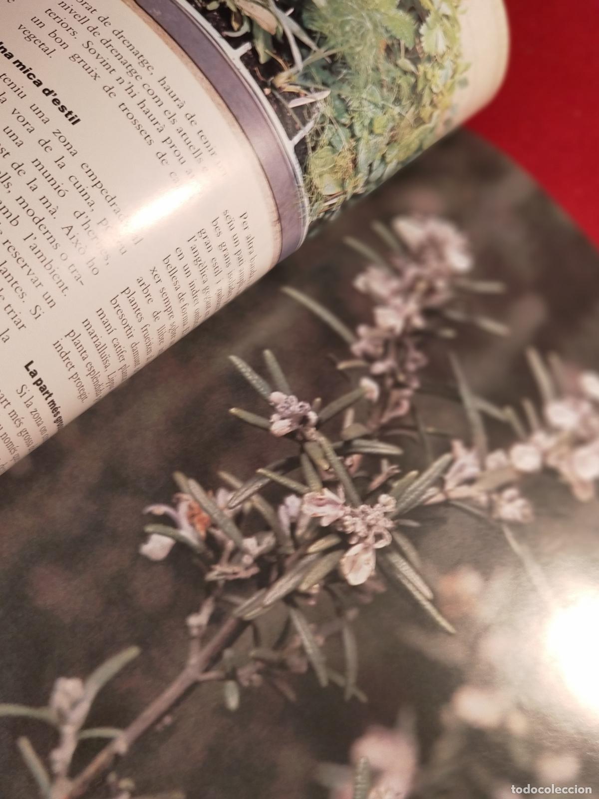 Libros de segunda mano: HERBES PER A TOT -CATALA - Foto 4