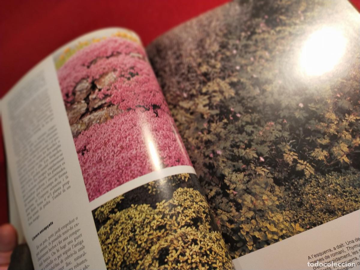 Libros de segunda mano: HERBES PER A TOT -CATALA - Foto 5