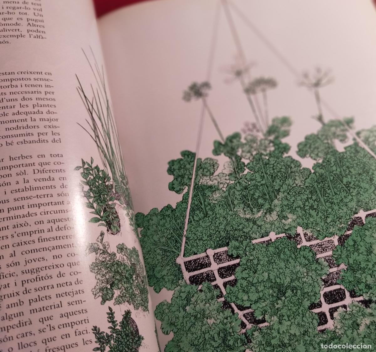 Libros de segunda mano: HERBES PER A TOT -CATALA - Foto 7