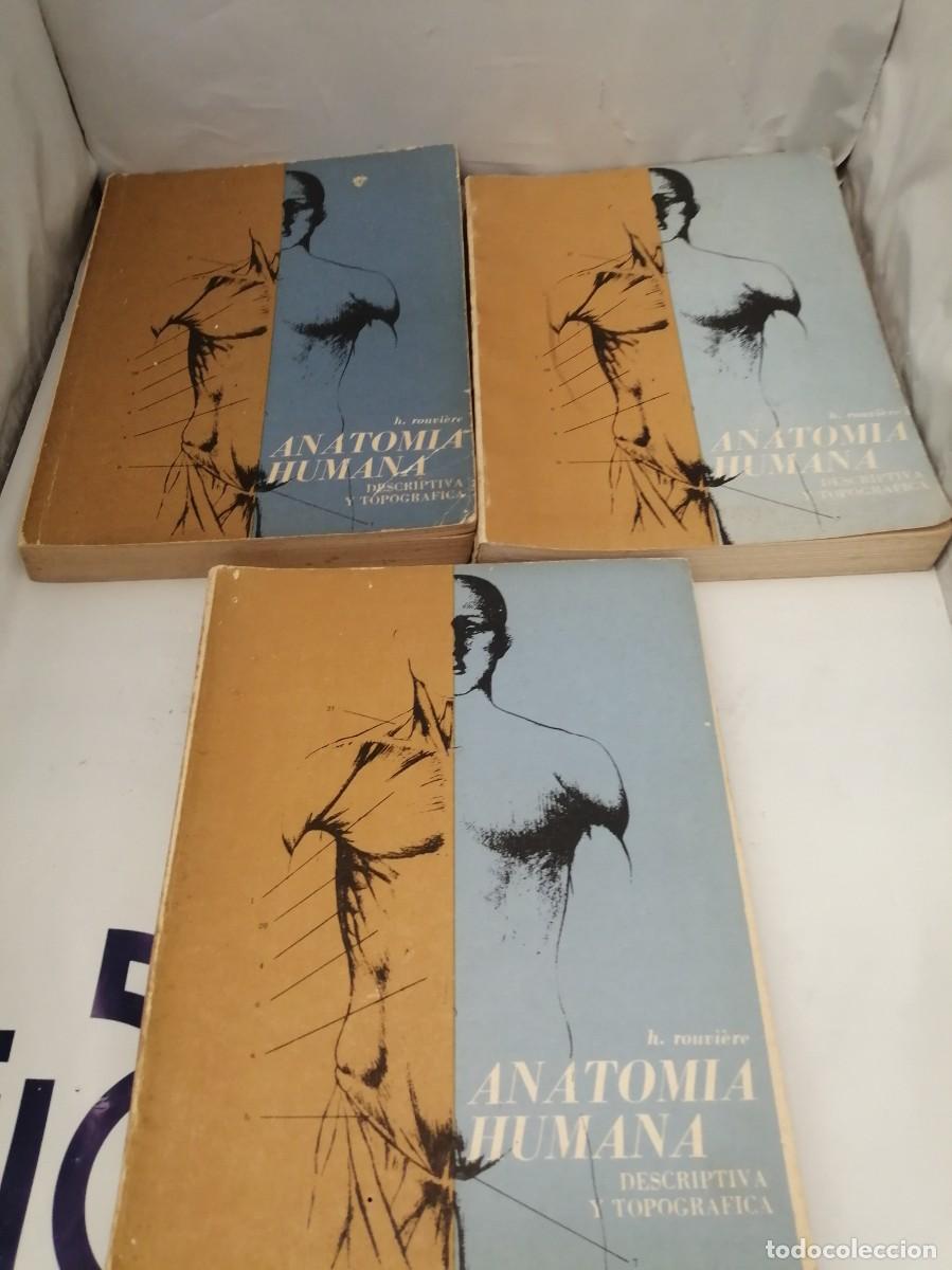 Libros de segunda mano: Anatom&iacute;a Humana Descriptiva y Topogr&aacute;fica, Tomos 1, 2 y 3 (Obra en 3 tomos, La Habana 1968)