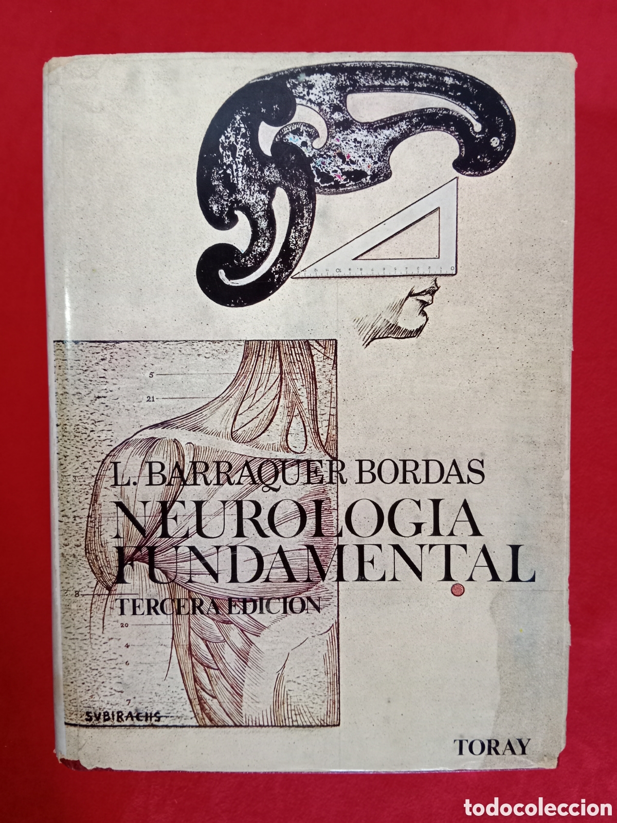 Libri di seconda mano: NEUROLOG&Iacute;A FUNDAMENTAL, LUIS BARRAQUER BORDAS, FISIOPATOLOG&Iacute;A, SEMIOLOG&Iacute;A, S&Iacute;NDROMES, EXPLORACI&Oacute;N