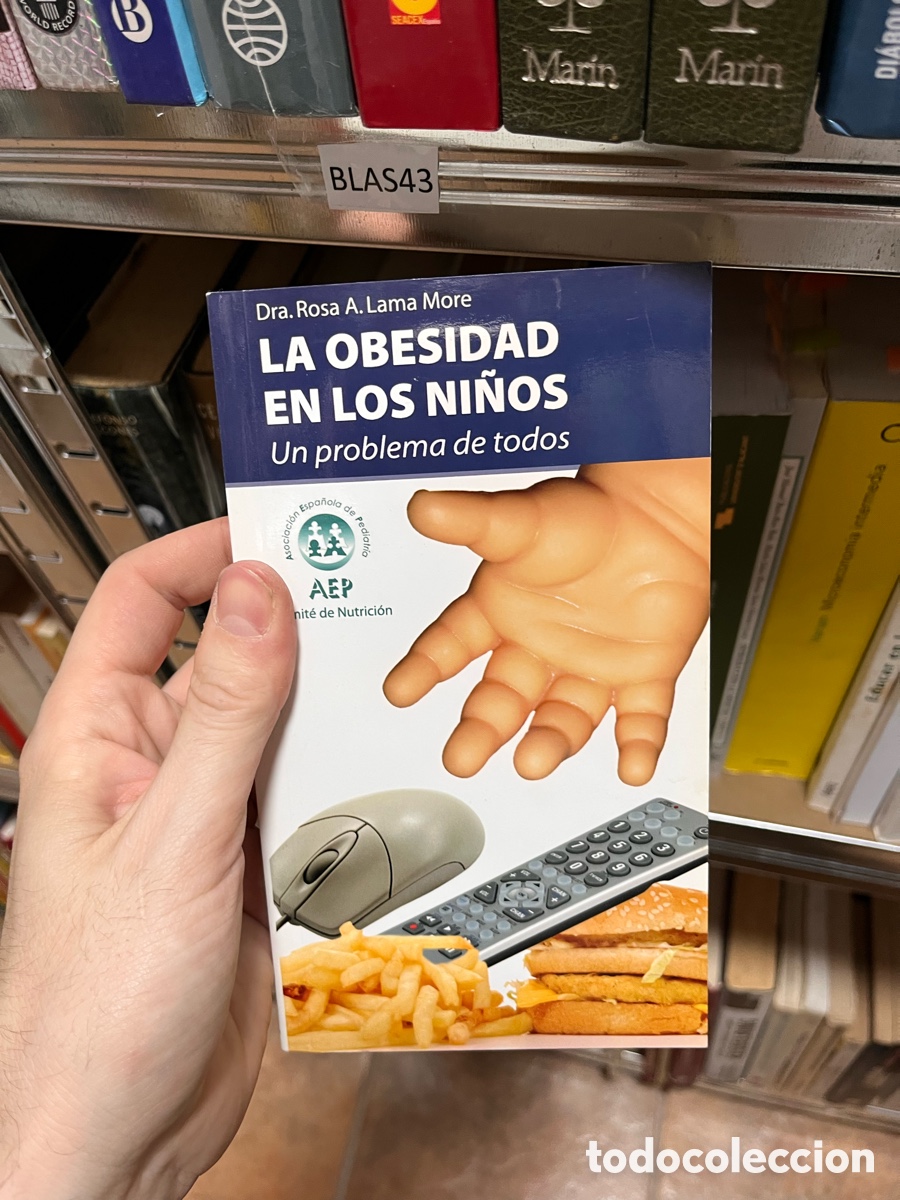 Libros de segunda mano: BLAS43 Dra. Rosa A. Lama More LA OBESIDAD EN LOS NI&Ntilde;OS Un problema de todos