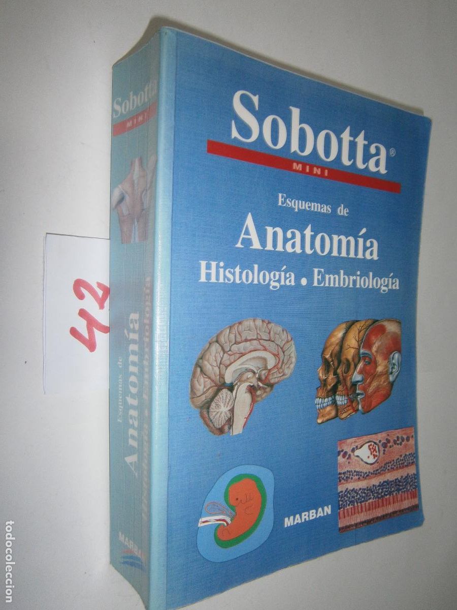 Libros de segunda mano: ESQUEMAS DE ANATOMIA - Foto 1