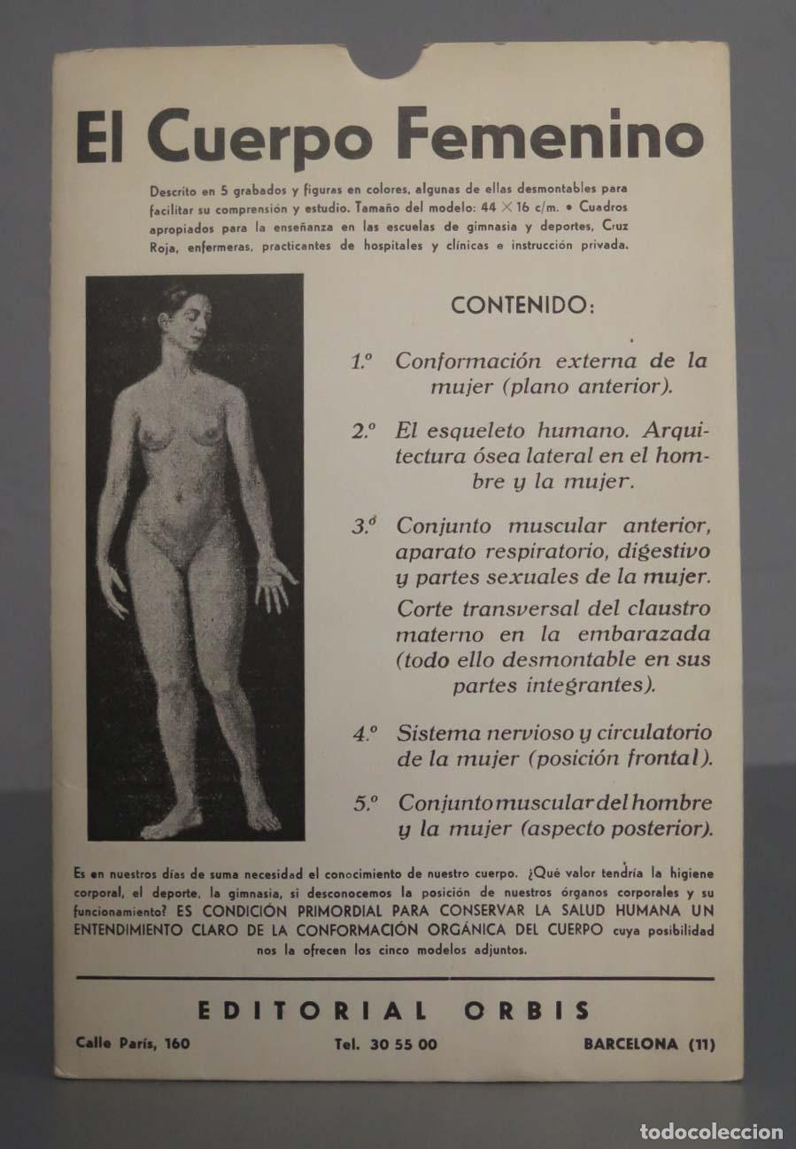 Second hand books: EL CUERPO HUMANO. GRABADO FEMENINO. EDITORIAL ORBIS