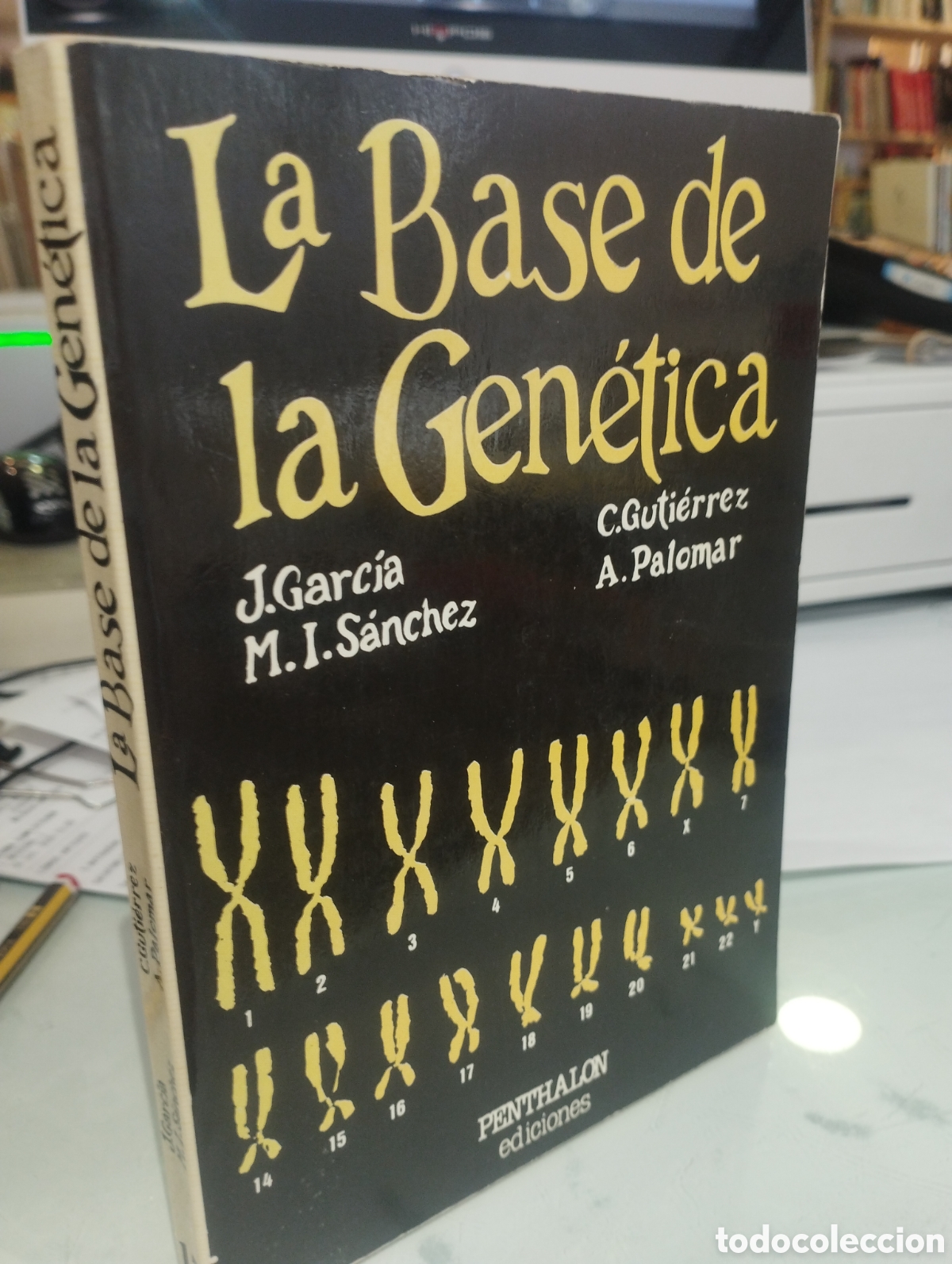 Libri di seconda mano: J. Garcia/ M. I. S&aacute;nchez/ C. Guti&eacute;rrez/ A. Palomar. La base de la gen&eacute;tica