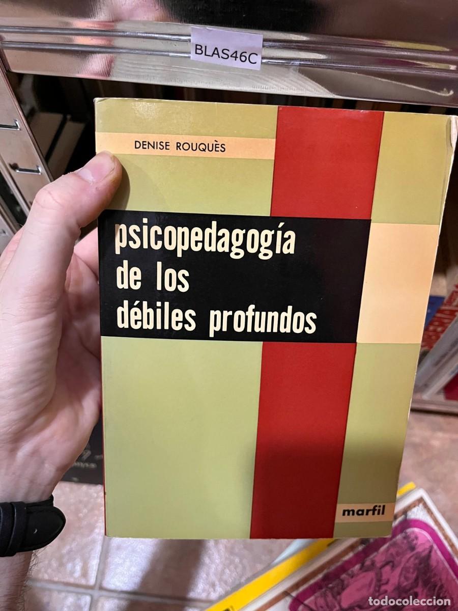 Libros de segunda mano: BLAS46C PSICOPEDAGOGIA DE LOS DEBILES PROFUNDOS, DENISE ROUQUES