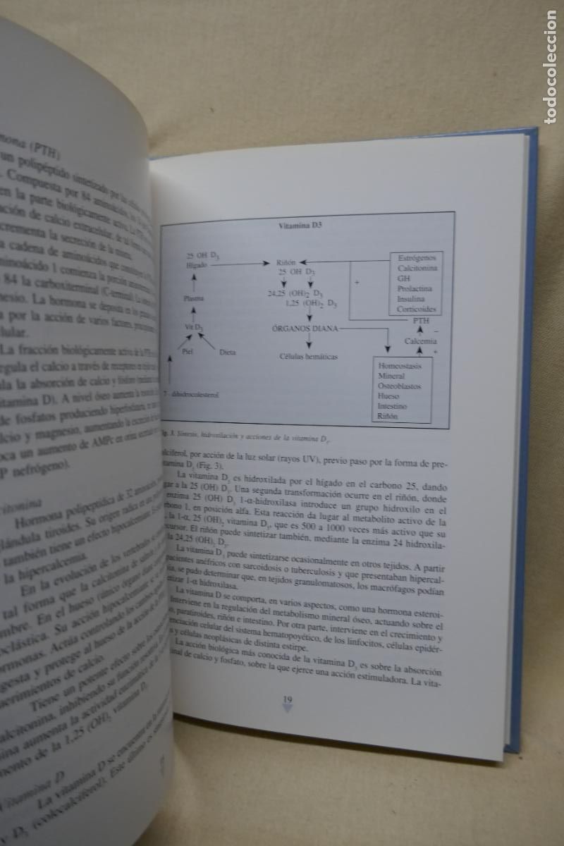 Libros de segunda mano: OSTEOPOROSIS - A DIEZ PEREZ - Foto 11