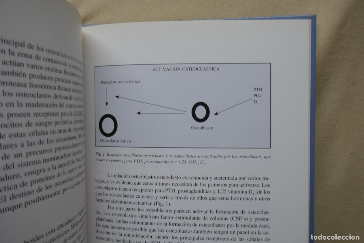 Libros de segunda mano: OSTEOPOROSIS - A DIEZ PEREZ - Foto 12