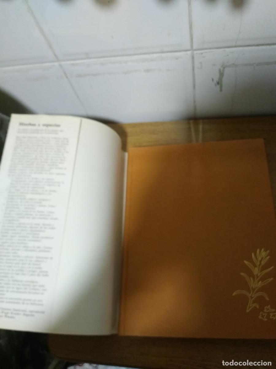 Libros de segunda mano: HIERBAS Y ESPECIAS - AVRIL RODWAY. - Foto 2