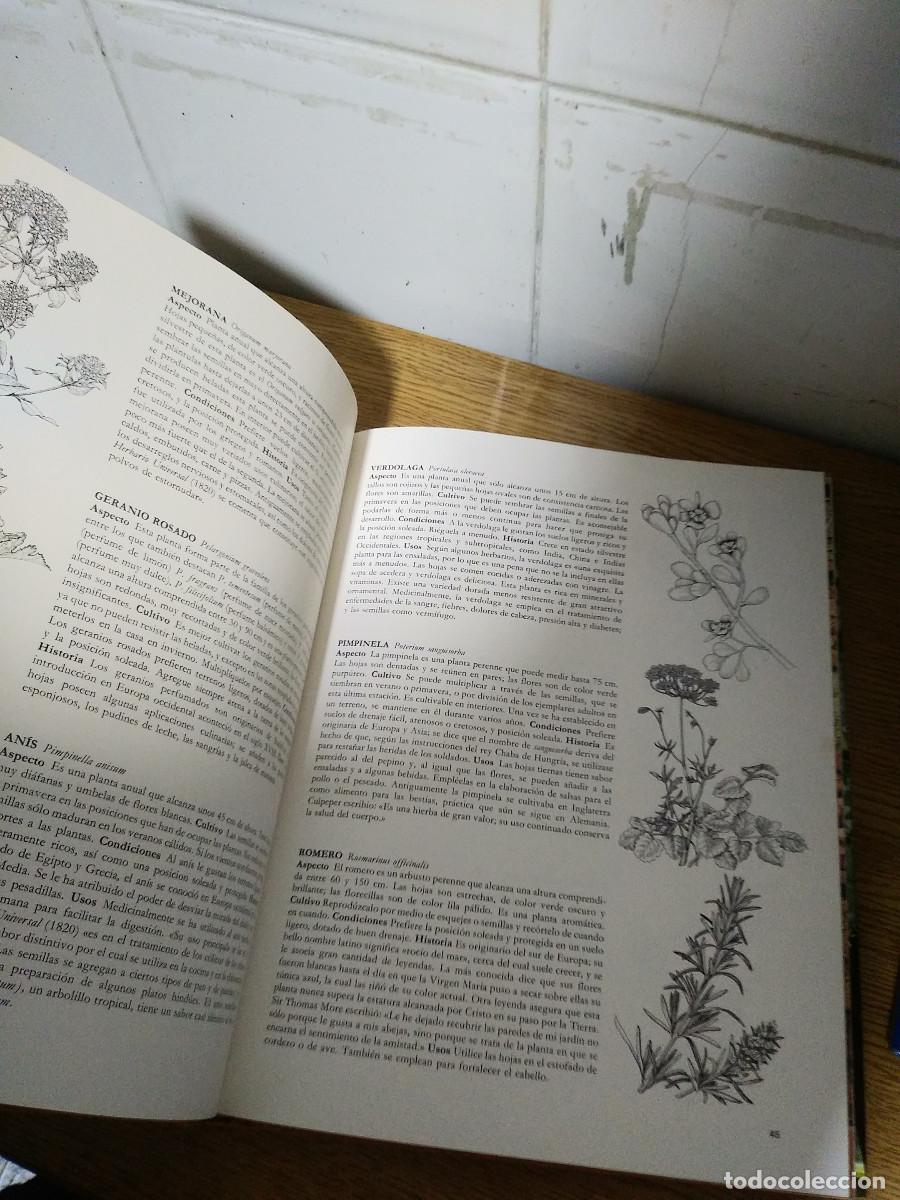 Libros de segunda mano: HIERBAS Y ESPECIAS - AVRIL RODWAY. - Foto 4