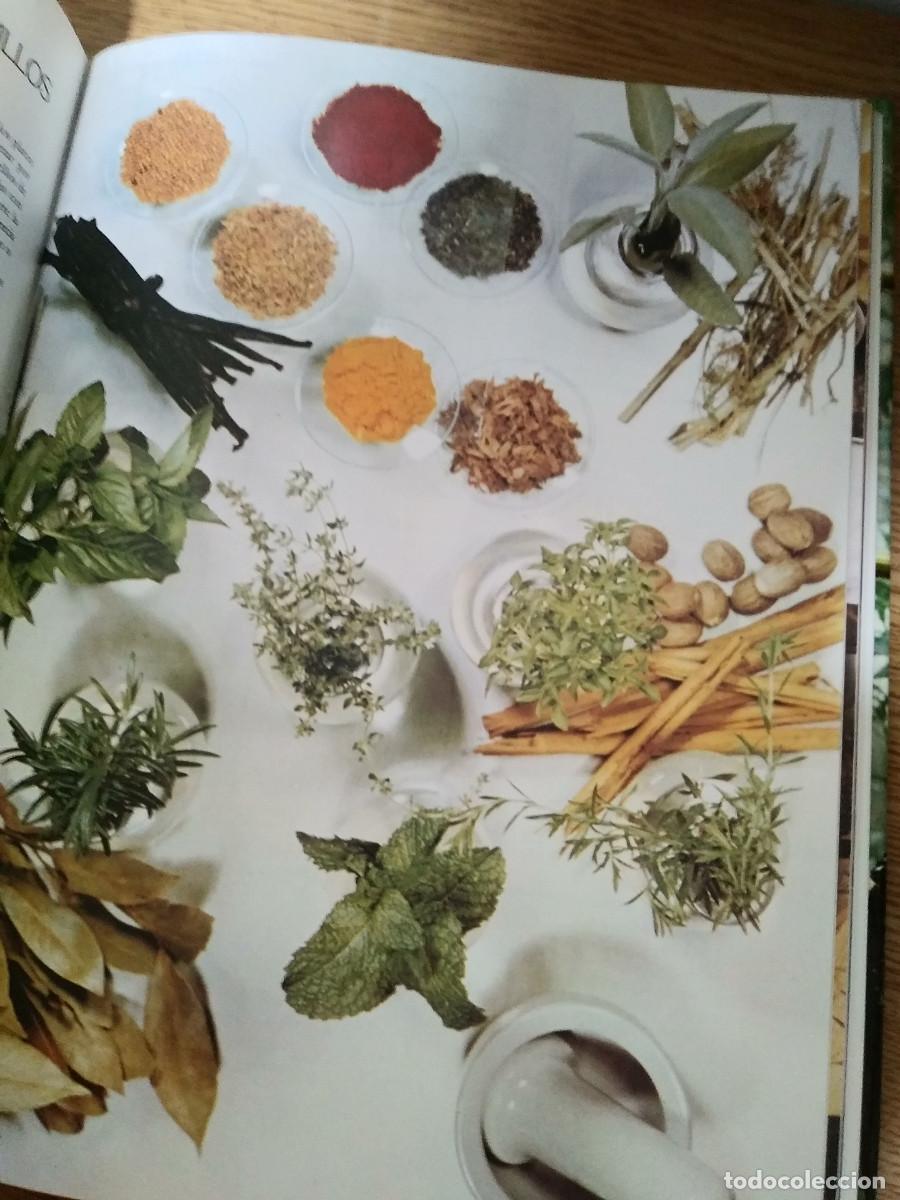 Libros de segunda mano: HIERBAS Y ESPECIAS - AVRIL RODWAY. - Foto 5