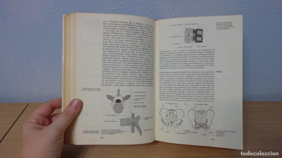 Libros de segunda mano: Gran Enciclopedia de la Salud - Foto 7