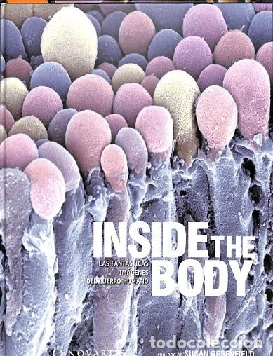 Libri di seconda mano: INSIDE THE BODY - GREENFIELD, SUSAN - NOVARTIS - 2005