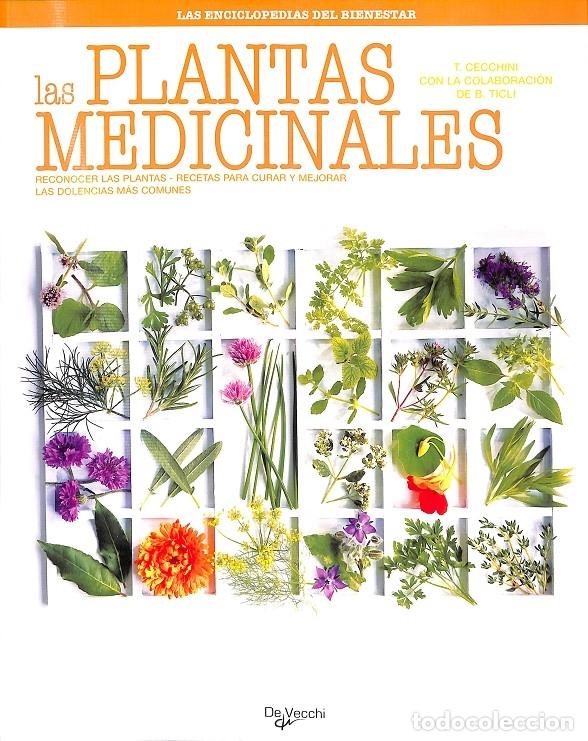 Livres d'occasion: LAS PLANTAS MEDICINALES - CECCHINI, TINA - DE VECCHI - SALUD - 2008