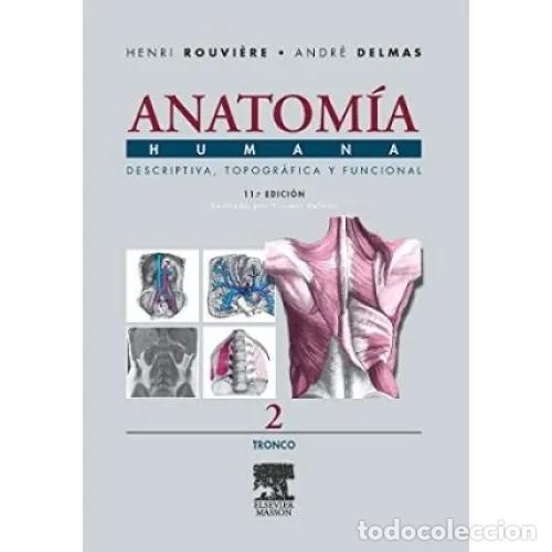 Libri di seconda mano: Anatomia Humana Tomo 2 - Tronco - Rouviere, Delmas - Masson-salvat - 11&ordf; Edici&oacute;n