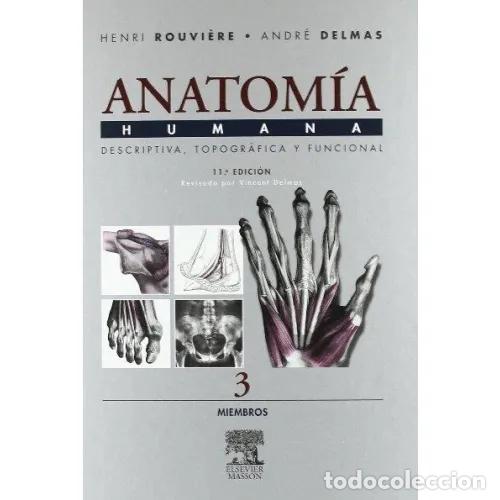 Second hand books: Anatomia 3 Masson - Rouvi&egrave;re, H. - Elsevier Espa&ntilde;a - 11&ordf; Edici&oacute;n