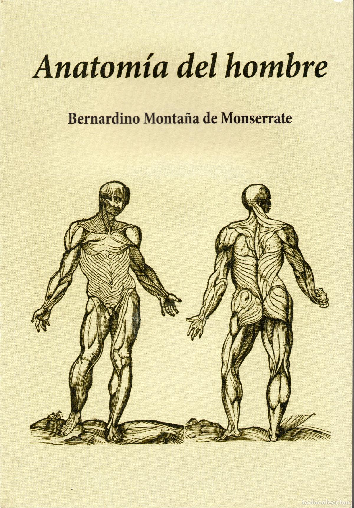 Gebrauchte B&uuml;cher: ANATOMIA DEL HOMBRE - BERNARDINO MONTA&Ntilde;A DE MONSERRATE