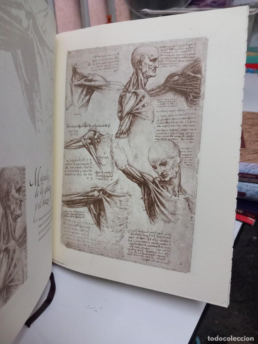 Libros de segunda mano: ESTUDIOS Y DIBUJOS ANAT&Oacute;MICOS. LEONARDO DA VINCI. - Foto 3