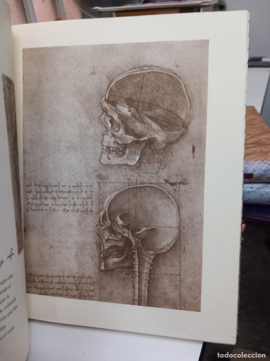 Libros de segunda mano: ESTUDIOS Y DIBUJOS ANAT&Oacute;MICOS. LEONARDO DA VINCI. - Foto 4