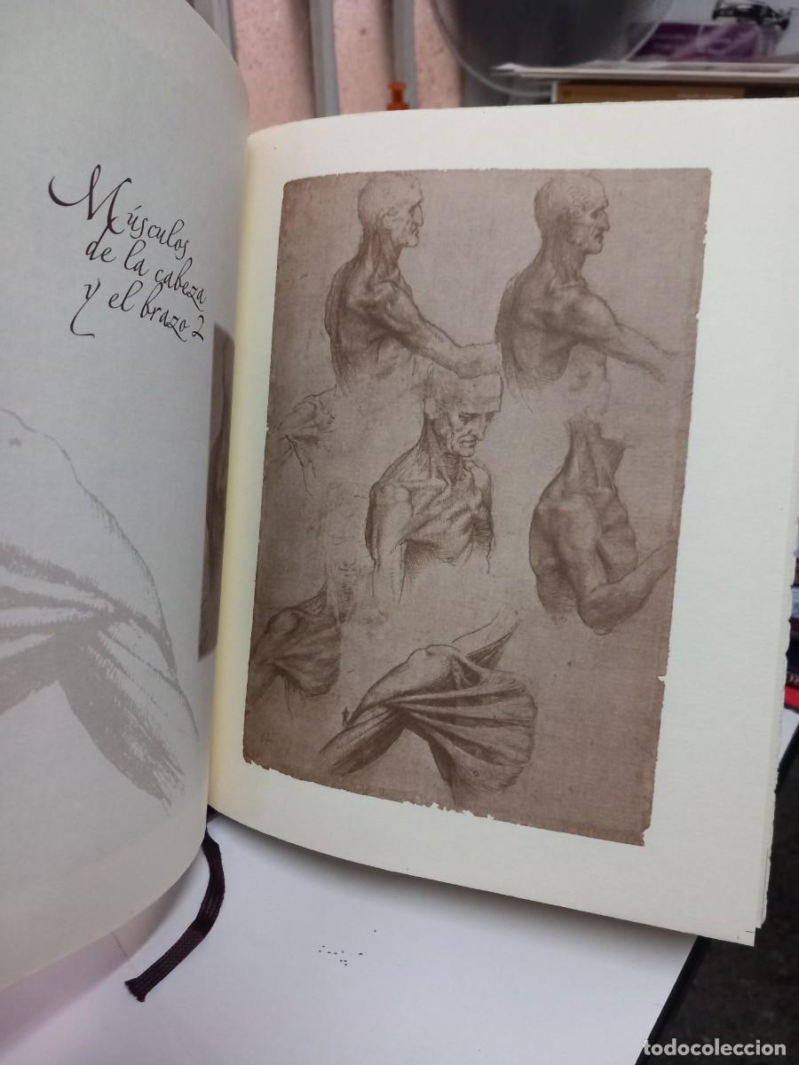 Libros de segunda mano: ESTUDIOS Y DIBUJOS ANAT&Oacute;MICOS. LEONARDO DA VINCI. - Foto 5