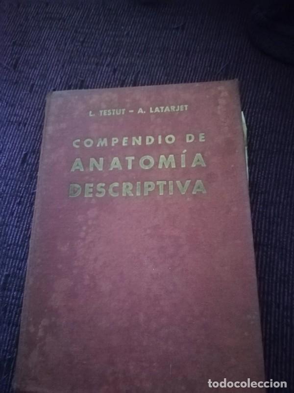 Libros de segunda mano: anatomia descriptiva - Foto 1