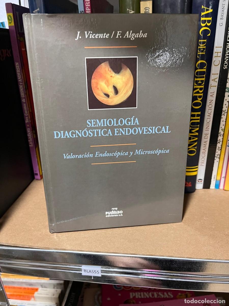 Libros de segunda mano: BLAS55 SEMIOLOGIA DIAGNOSTICA ENDOVESICAL, VALORACION ENDOSCOPICA Y MICROSCOPICA, J VICENTE, F ALGAB