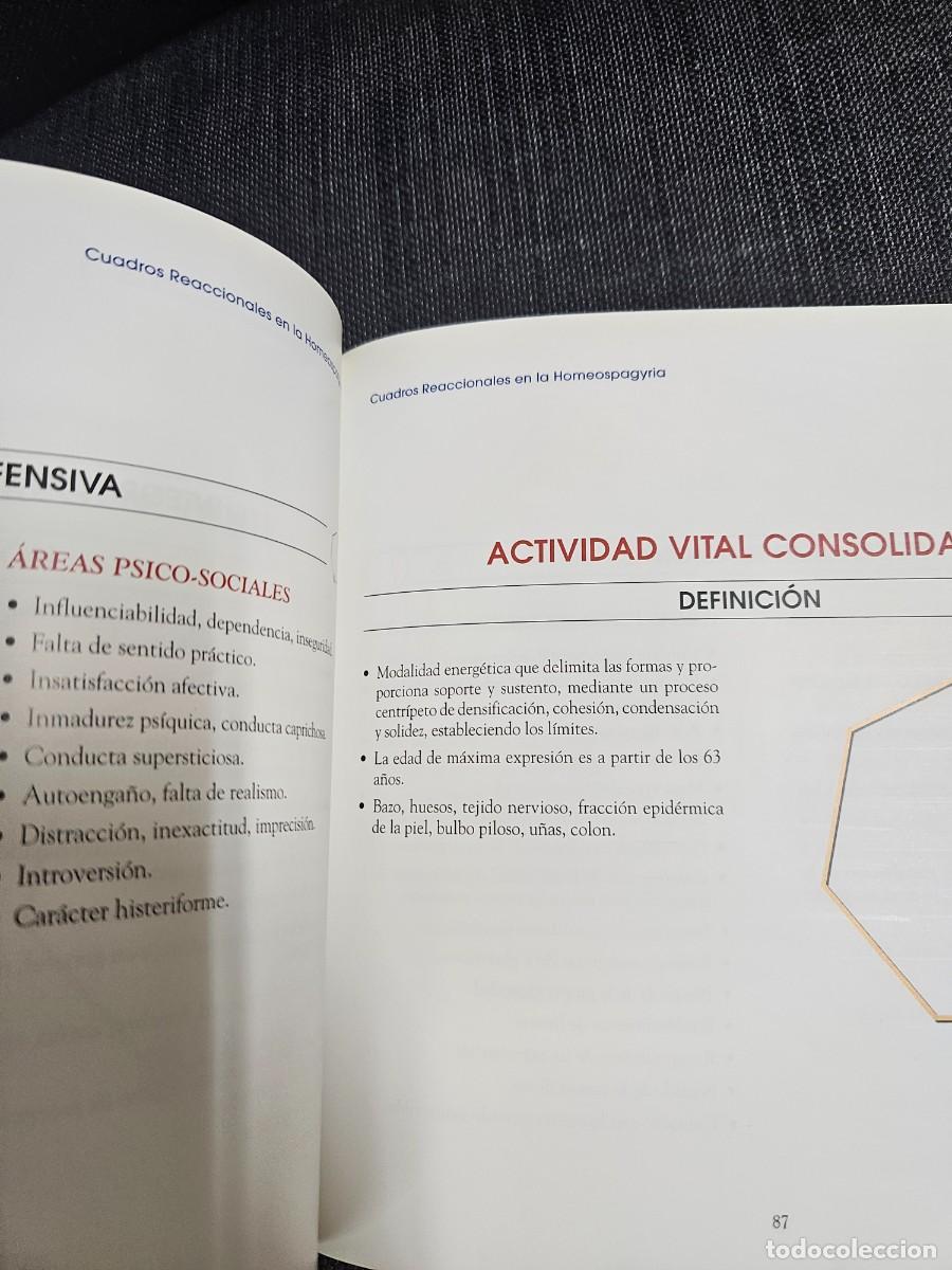 Libros de segunda mano: VADEMECUM - HOMEOSPAGYRIA - Foto 2