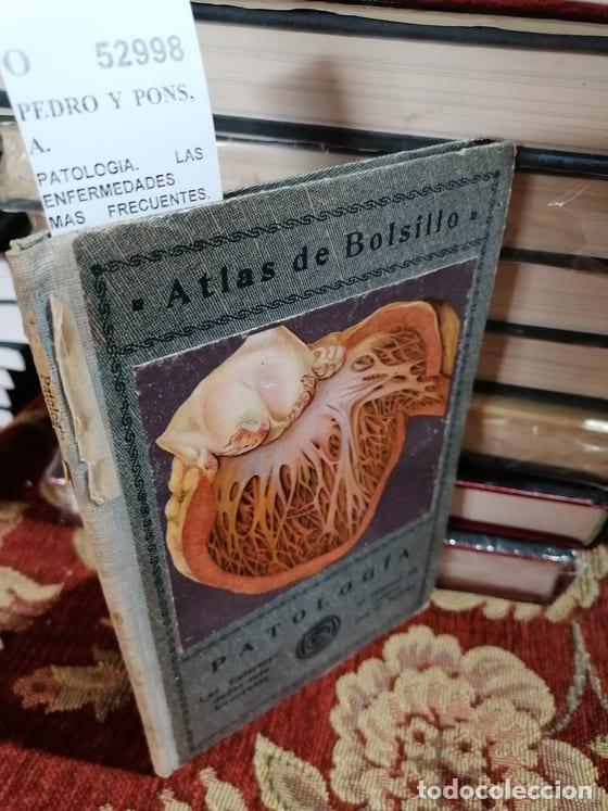Libros de segunda mano: PEDRO Y PONS, A. - PATOLOGIA. LAS ENFERMEDADES MAS FRECUENTES. 12 LAMINAS EN COLORES, CON 37 FIGURAS