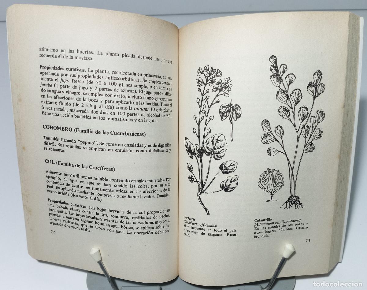 Libros de segunda mano: Como curarse con las hierbas medicinales - Torroella, Teresa - Foto 2