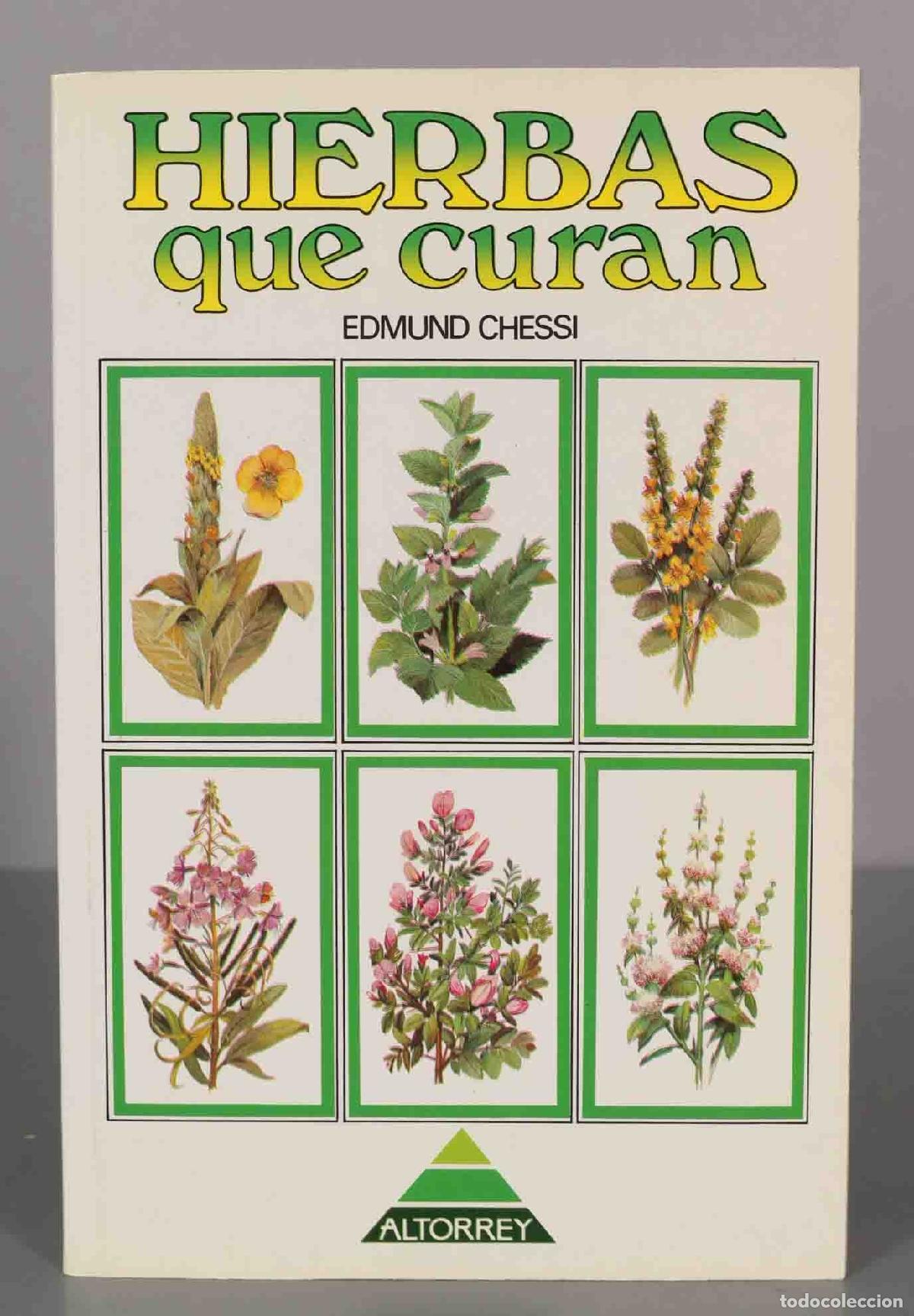Libri di seconda mano: HIERBAS QUE CURAN. CHESSI, Edmund.